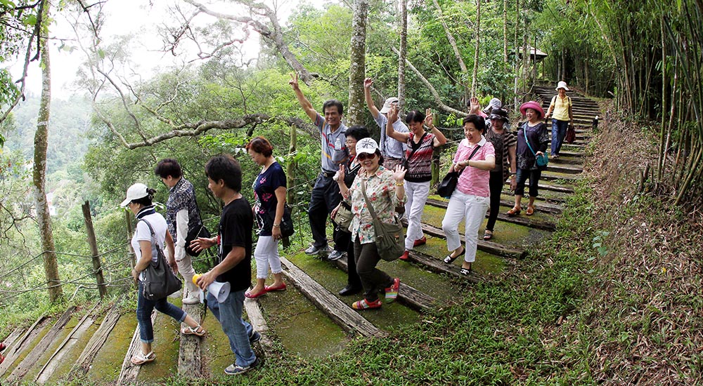 大坑休閒農場 農曆年過年好去處